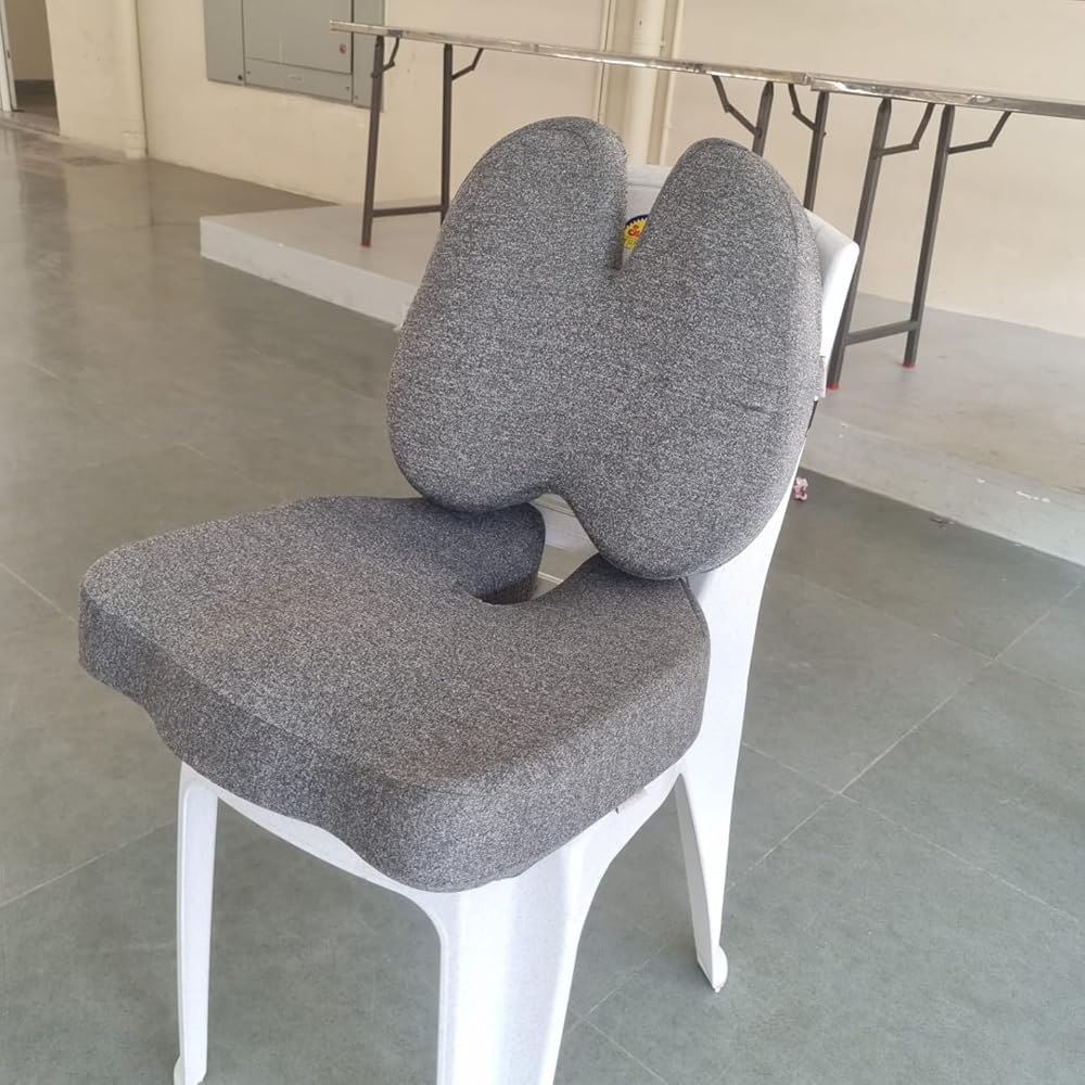 Seat Cushion and Backrest