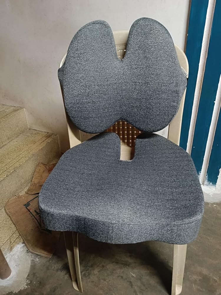 Seat Cushion and Backrest